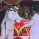 HUT RI ke-81, Bupati Pegunungan Bintang Upacara di Kiwirok, Wabup di Oksibil