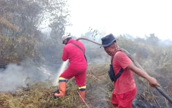 Karhutla Riau di Enam Lokasi Masih Belum Padam