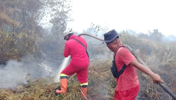 Karhutla Riau Masih Terjadi di Enam Lokasi, Manggala Agni Lakukan Pemadaman
