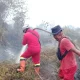 Karhutla Riau di Enam Lokasi Masih Belum Padam