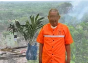 Api Kebun Sagu Merambat ke Lahan Warga Temeran, Pensiunan Jadi Tersangka