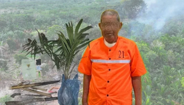 Api Kebun Sagu Merambat ke Lahan Warga Temeran, Pensiunan Jadi Tersangka