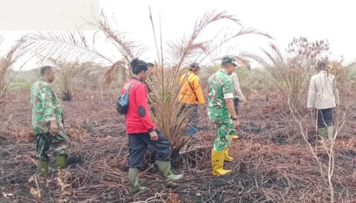 Hujan Lebat Jinakkan Api, Tim Gabungan Sisir Karhutla Desa Buluh Apo