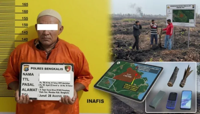Bukan Sekadar Karhutla, Titik Api Pematang Pudu Mengarah ke Dugaan Garapan HPT