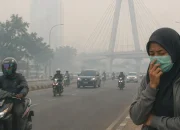 Kabut Asap Riau Mulai Menyebar, Warga Diminta Waspada