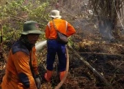 Karhutla Kerumutan Meluas, 270 Hektare Terbakar
