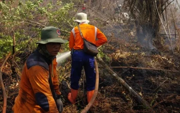 Karhutla Kerumutan Meluas, 270 Hektare Terbakar