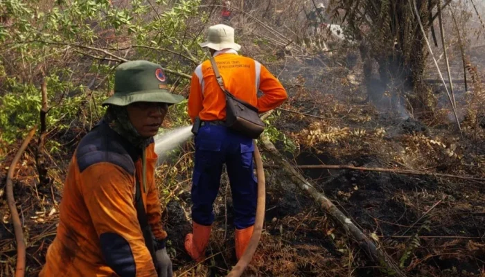 Karhutla Kerumutan Meluas, 270 Hektare Terbakar