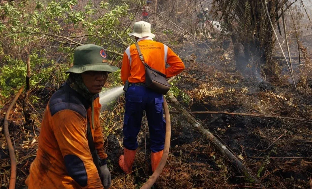 Karhutla Kerumutan Meluas, 270 Hektare Terbakar