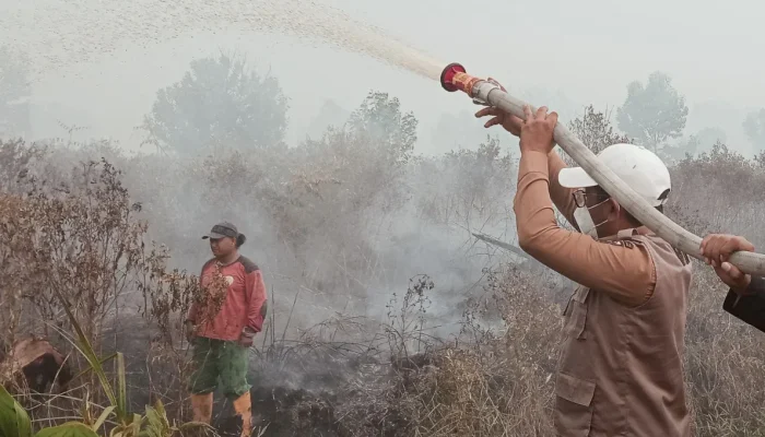 Karhutla Pelalawan Meluas, 969 Hektare Lahan Gambut Terbakar