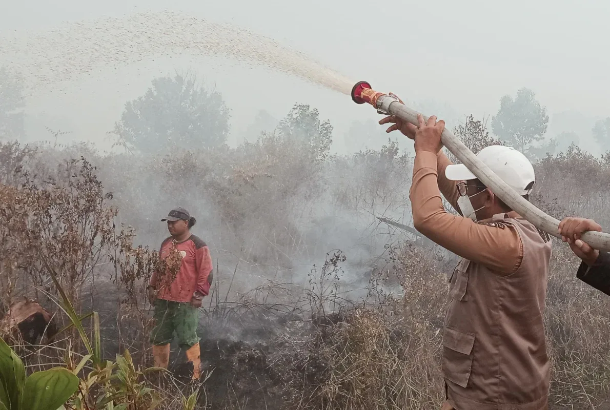 Karhutla Pelalawan Bakar 969 Hektare Lahan Gambut