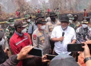 Karhutla Riau 335 Konsesi Terindikasi Dilanda Kebakaran