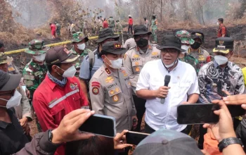 Karhutla Riau 335 Konsesi Terindikasi Dilanda Kebakaran