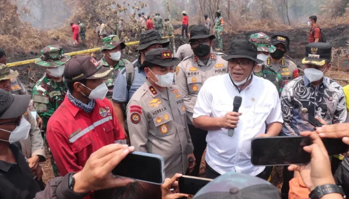 Karhutla Riau: 335 Konsesi Terindikasi Dilanda Kebakaran