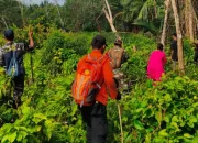 Lansia Hilang di Meranti, Tim SAR Lakukan Pencarian