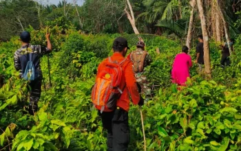 Lansia Hilang di Meranti, Tim SAR Lakukan Pencarian