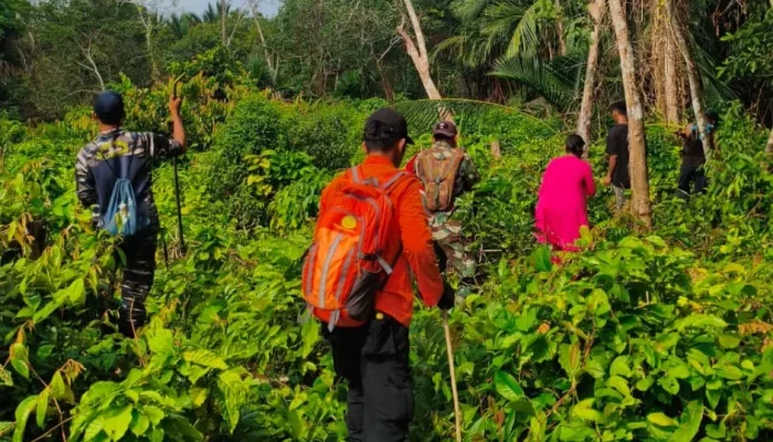Lansia 80 Tahun Hilang di Perkebunan Meranti, Tim SAR Lakukan Pencarian