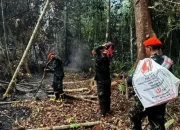 Lanud Roesmin Nurjadin Terjunkan Tim Alfa Padamkan Karhutla