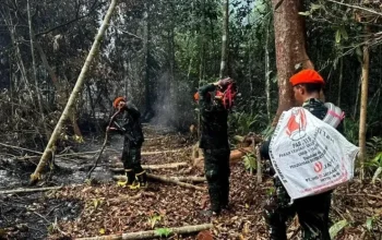 Lanud Roesmin Nurjadin Terjunkan Tim Alfa Padamkan Karhutla