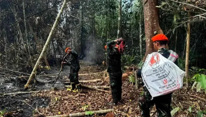 Tembus Sarang Harimau, Lanud Roesmin Nurjadin Terjunkan Tim Alfa Padamkan Karhutla Pelalawan