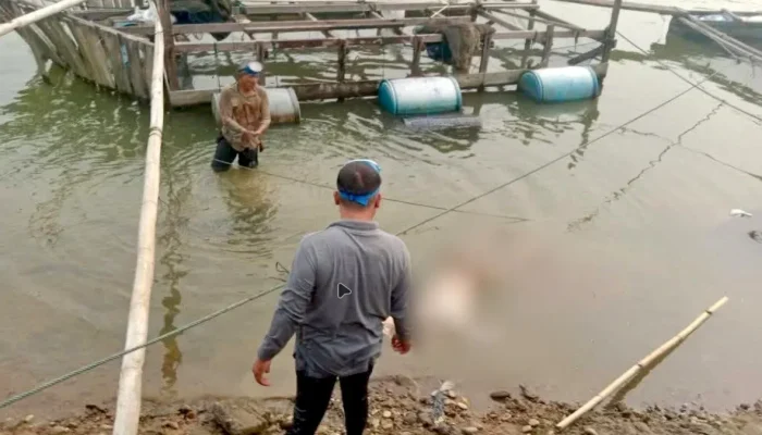 Mayat Pria Ditemukan Tersangkut Jaring Keramba di Pulau Belimbing II Kampar