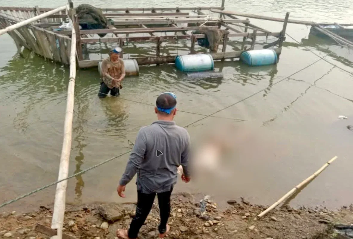 Mayat Pria Ditemukan di Keramba Pulau Belimbing II Kampar