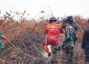 Menhut Raja Juli Tinjau Karhutla Pelalawan Riau