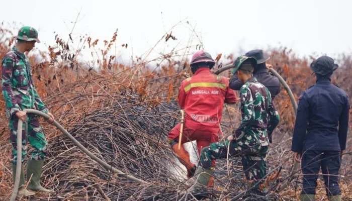 Menhut Raja Juli Tinjau Pendinginan Karhutla Pelalawan, Minta Penegakan Hukum Tanpa Pandang Bulu