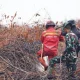 Menhut Raja Juli Tinjau Pendinginan Karhutla Pelalawan, Minta Penegakan Hukum Tanpa Pandang Bulu