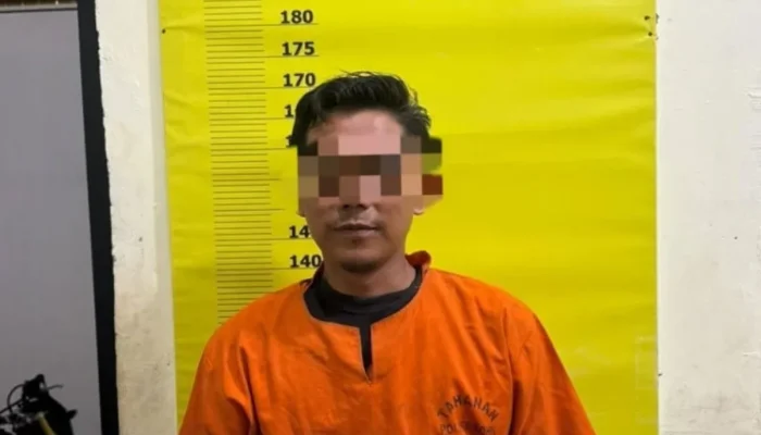 Penghulu Teluk Piyai Jadi Tersangka Dugaan Perusakan Hutan Mangrove