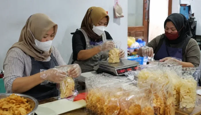 PLUT KUMKM Riau Perkuat UMKM Disabilitas, Legalitas Koperasi Diserahkan Saat HUT Riau