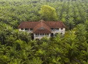 Pupuk Sawit Organik Booster Jadi Strategi Tingkatkan Produktivitas Kebun