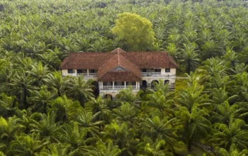 Pupuk Sawit Organik Booster Jadi Strategi Tingkatkan Produktivitas Kebun