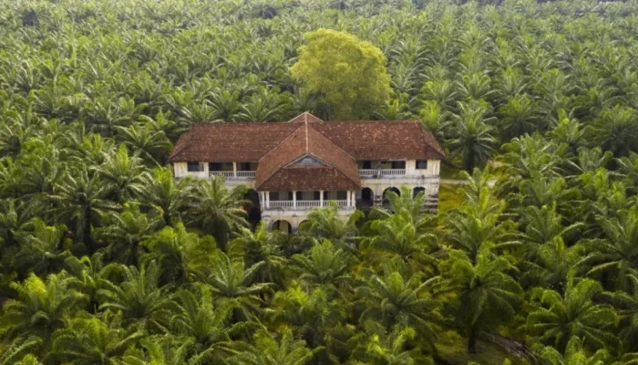 Pupuk Sawit Organik Booster Jadi Strategi Tingkatkan Produktivitas Kebun, Ini Manfaat dan Panduan Pemupukannya