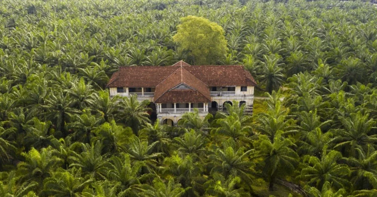 Pupuk Sawit Organik Booster Jadi Strategi Tingkatkan Produktivitas Kebun