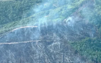 Karhutla Riau Dipantau dari Udara, Satgas Kerahkan Water Bombing