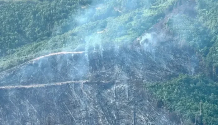 Patroli Udara Pantau Karhutla di Sejumlah Wilayah Riau, Satgas Kerahkan Water Bombing
