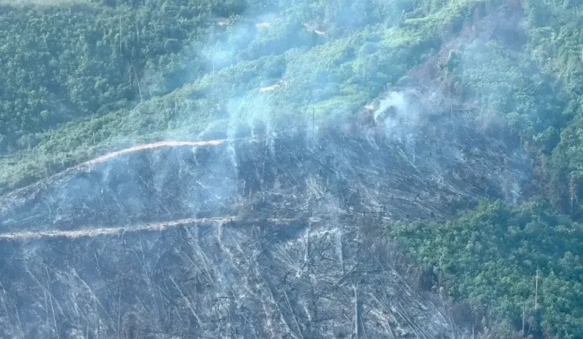 Karhutla Riau Dipantau dari Udara, Satgas Kerahkan Water Bombing