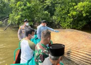 Diduga Bangkai Paus Ditemukan di Inhil, KKP Evakuasi