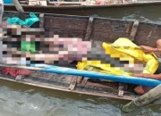 Tiga Hari Menyisir Perairan Meranti, Tim SAR Temukan Bima Meninggal Dunia