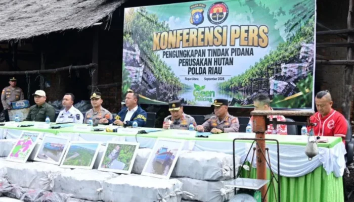 Puluhan Goni Arang Buka Jejak Perusakan Hutan di Rupat Utara