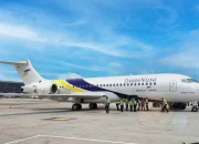 Jaringan Penerbangan TransNusa dari Bali Bertambah, Rute Surabaya Dibuka