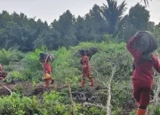 Karhutla Bengkalis Hari Ketiga, 3,3 Hektare Padam