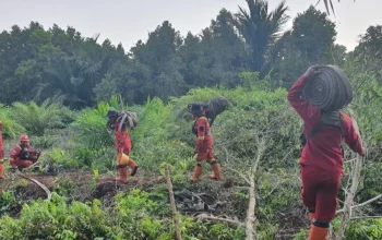 Karhutla Bengkalis Hari Ketiga, 3,3 Hektare Padam