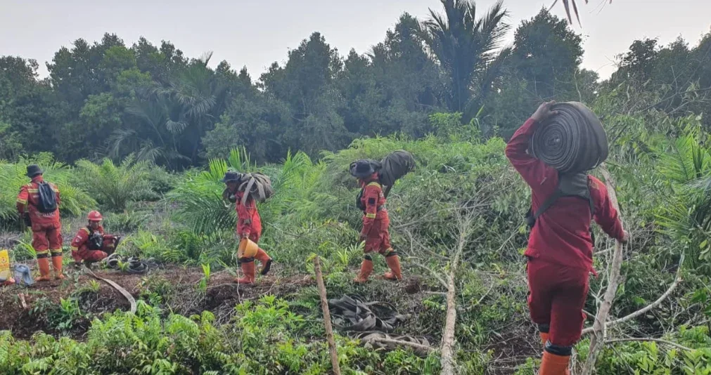 Karhutla Bengkalis Hari Ketiga, 3,3 Hektare Padam