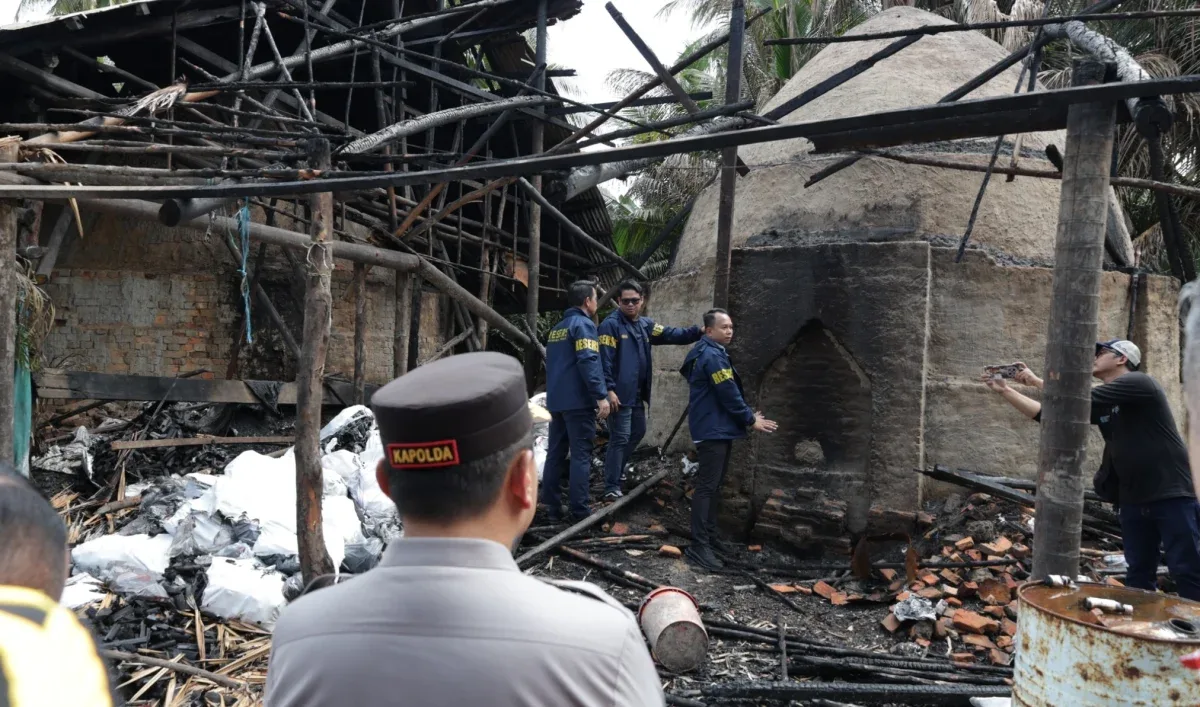 Penyelundupan Arang Bakau Pulau Rupat Digagalkan, Polisi Amankan 140 Ton