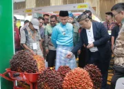 Pertumbuhan Ekonomi Pekanbaru Tembus 7,39 Persen S1 2026