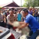 Kecelakaan Maut di Jalan Sembada Pematang Duku, Satu Nyawa Melayang