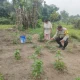 Bhabinkamtibmas Pantau Kebun Cabai, Ketahanan Pangan Sotol Diperkuat