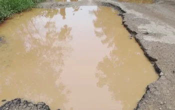 Jalan Berlubang Kampung Busur Siak Dijanjikan Diperbaiki